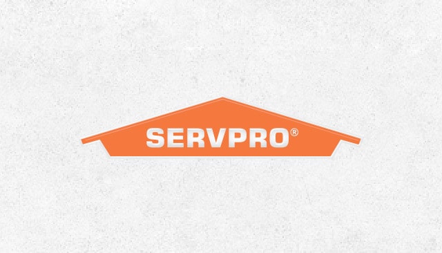 ServPro IT Services