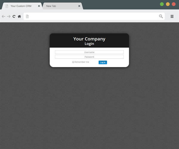 CRM Software Systems
