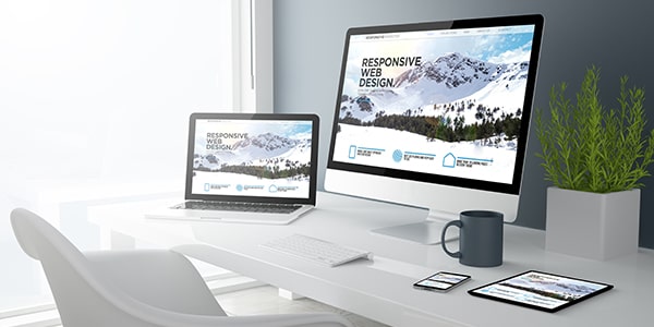 Image of website design performed at Creative Programs and Systems. 